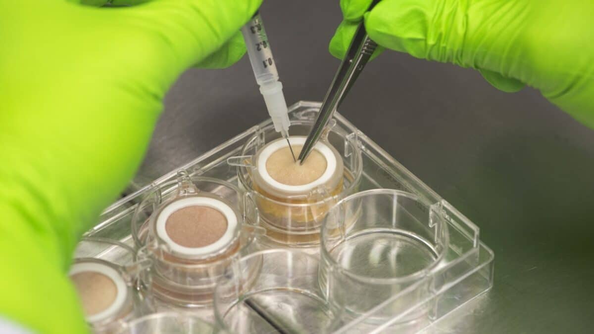 Toulouse : ce fournisseur de peau humaine alimente les labos mondiaux